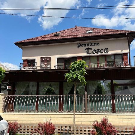 Pensiune Turistica Tosca Bacău Екстериор снимка